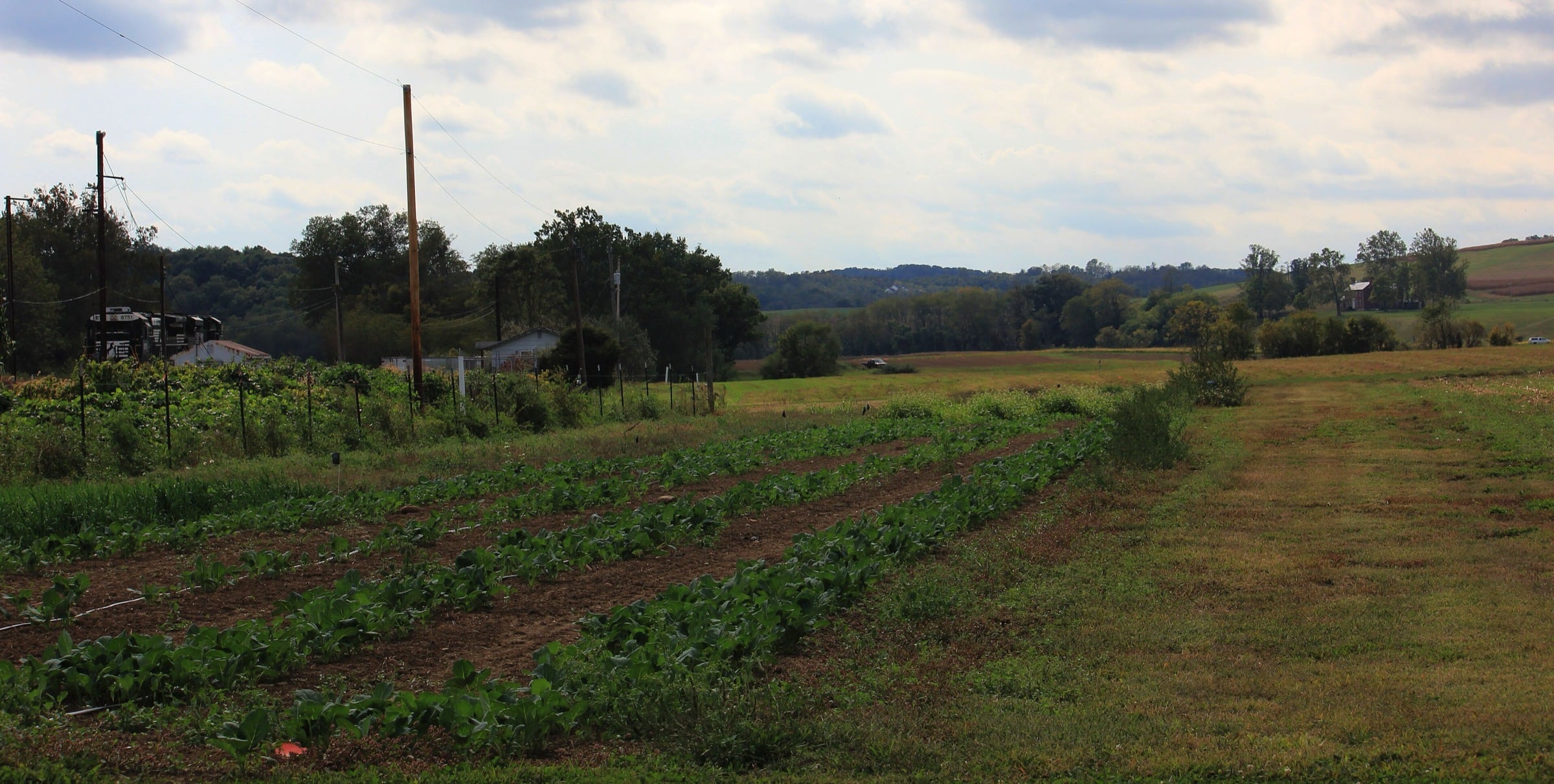 Trial plots and open fields at Kentland Farm above the New River