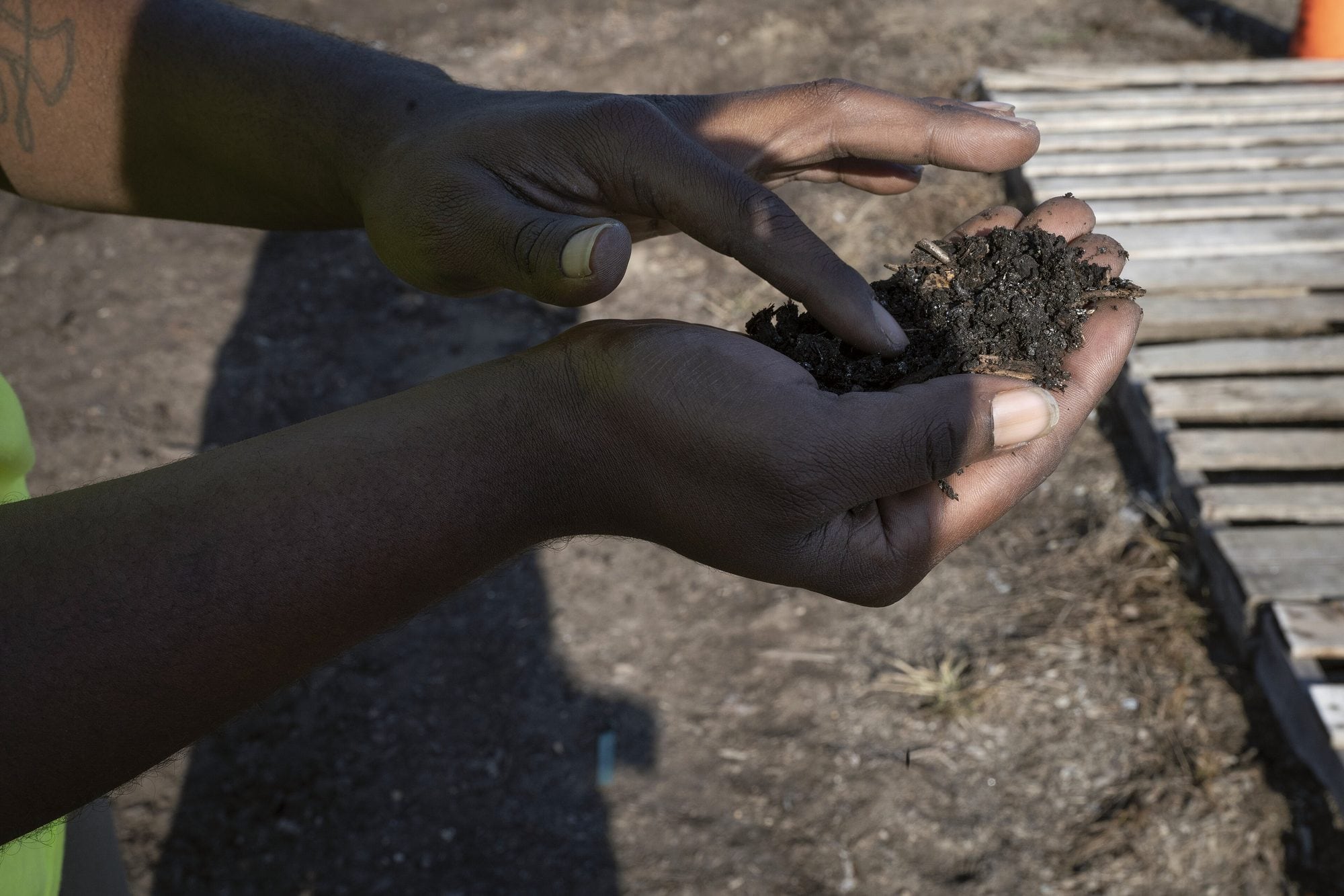 A pair of hands holding a handful of dark soil over a garden bed