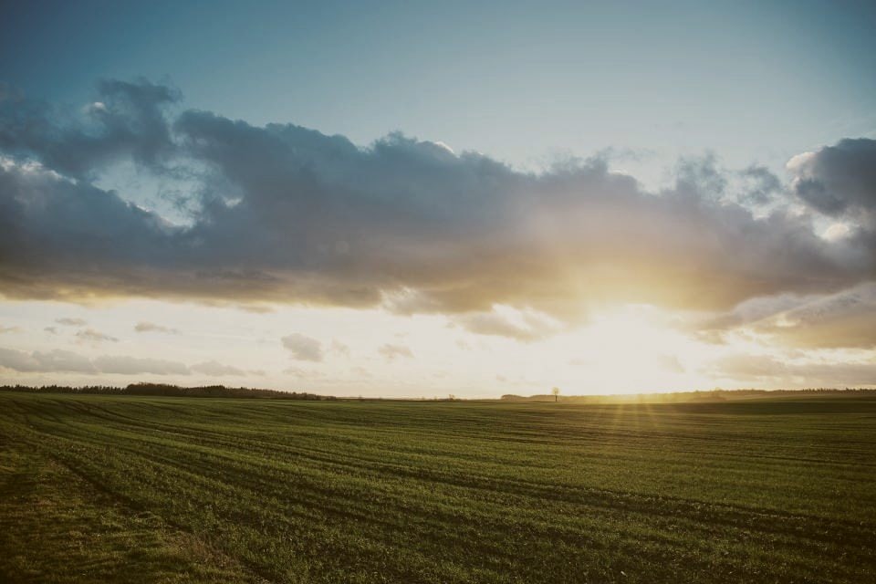 Farmland at dusk with the sun low on the horizon